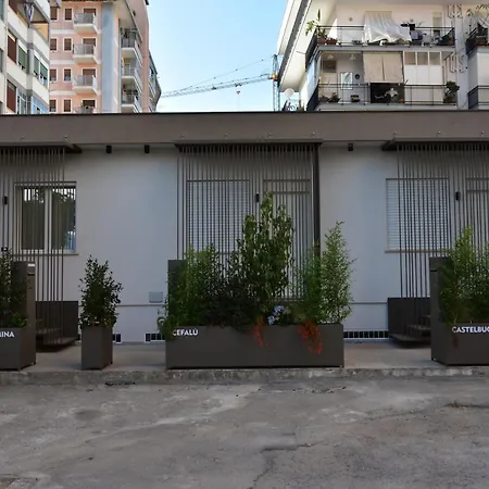 Cilea Daire Palermo