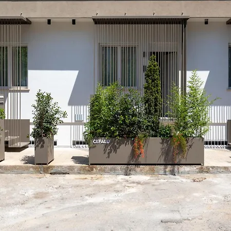 Cilea Daire Palermo
